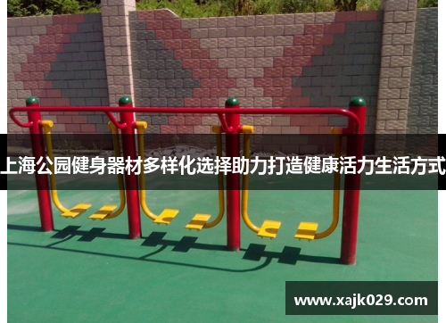 上海公园健身器材多样化选择助力打造健康活力生活方式