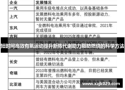 短时间高效有氧运动提升新陈代谢助力脂肪燃烧的科学方法