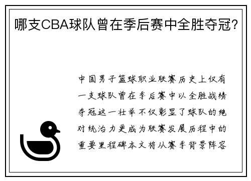 哪支CBA球队曾在季后赛中全胜夺冠？